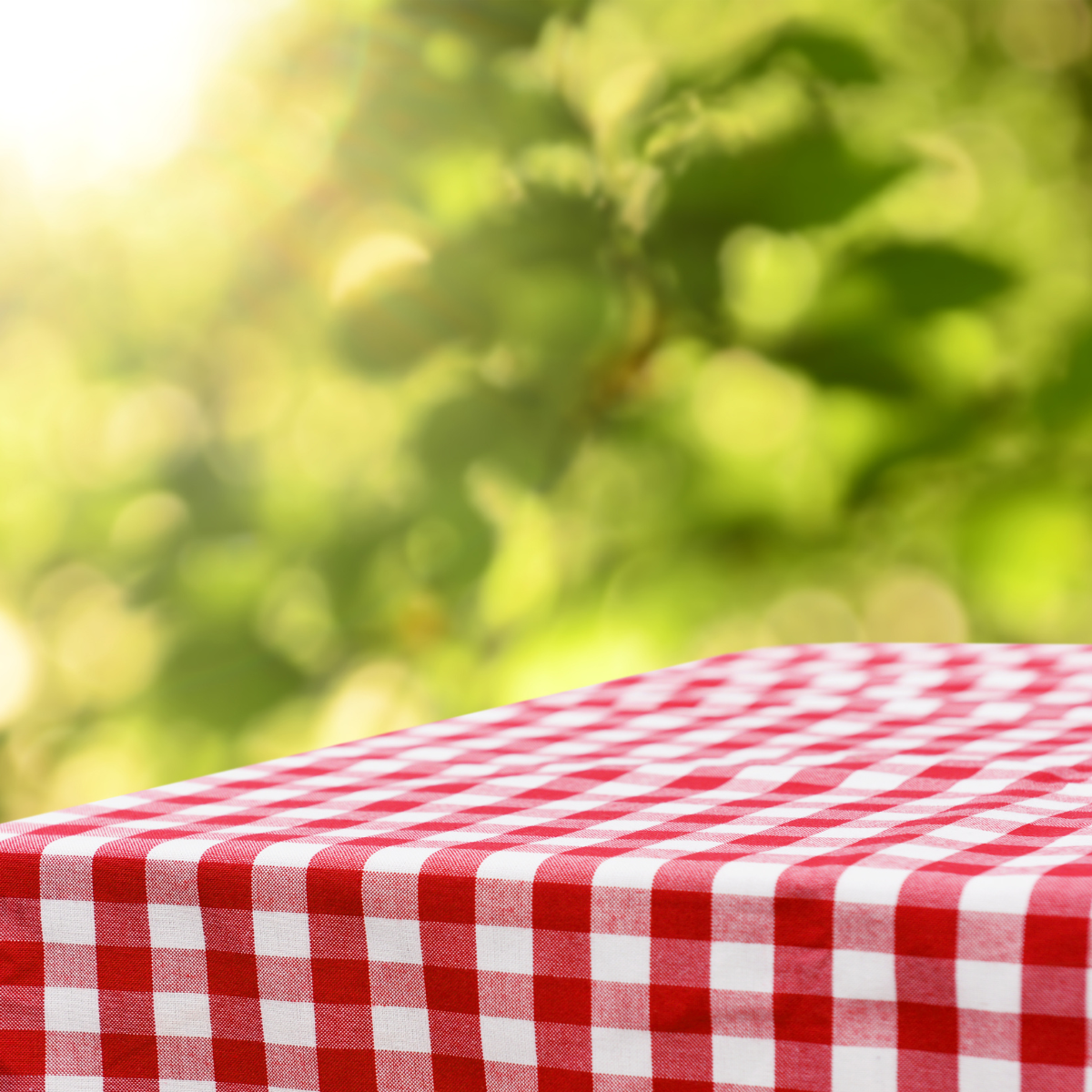 Rans Gingham Checked Tablecloths 5cm Hemming 100% Cotton