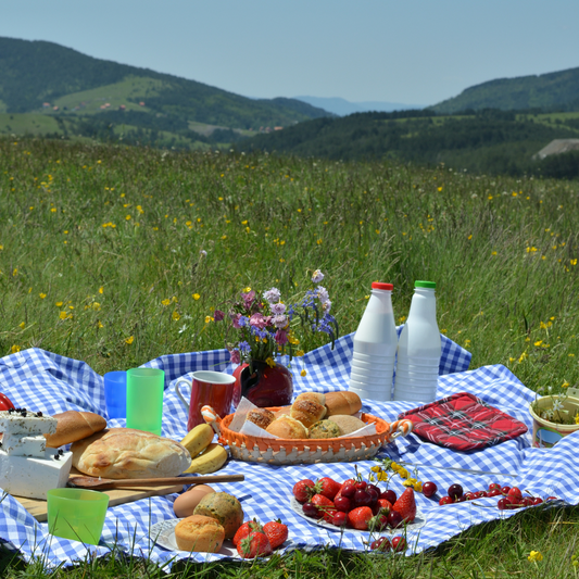 Rans Gingham Checked Tablecloths 5cm Hemming 100% Cotton